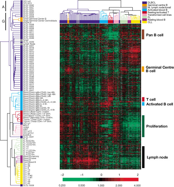 cancer_clustering