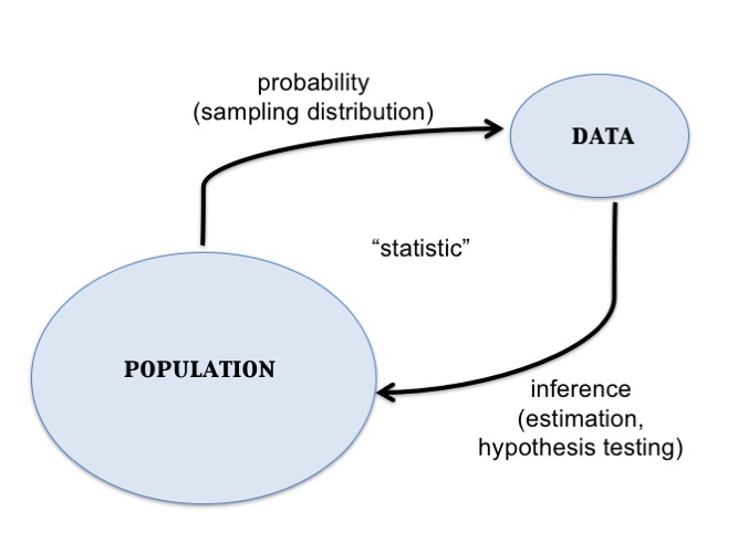 central_dogma_statistics